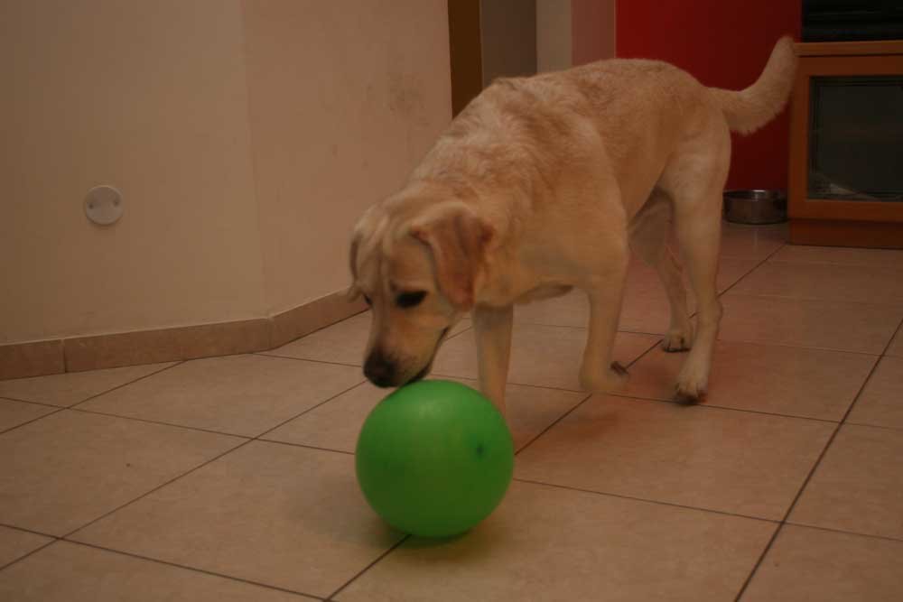 IMG_5180.jpg