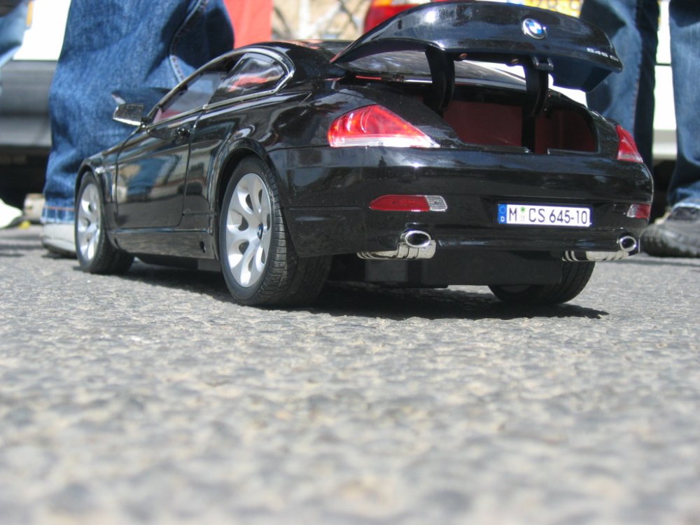 IMG_5586.jpg