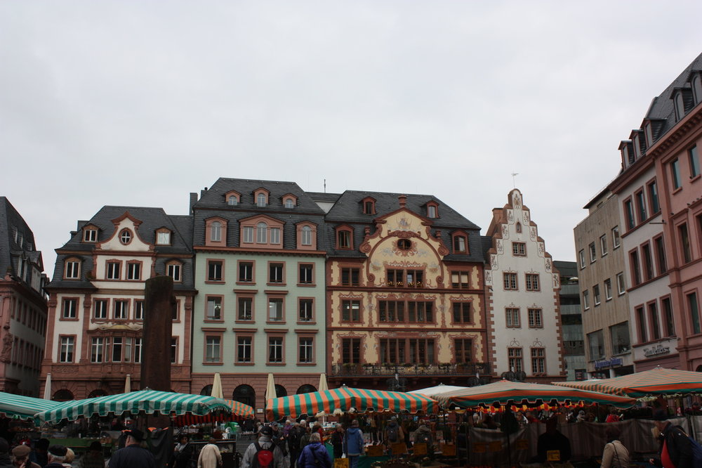 IMG_6225.jpg