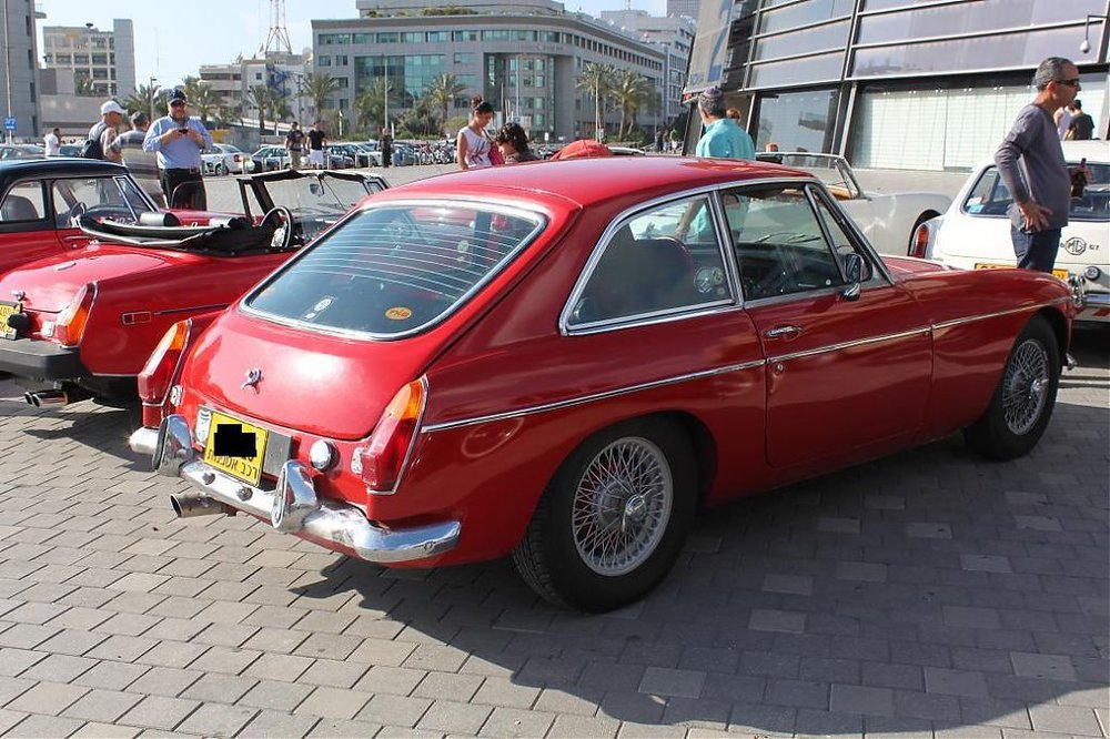 IMG_6261.jpg