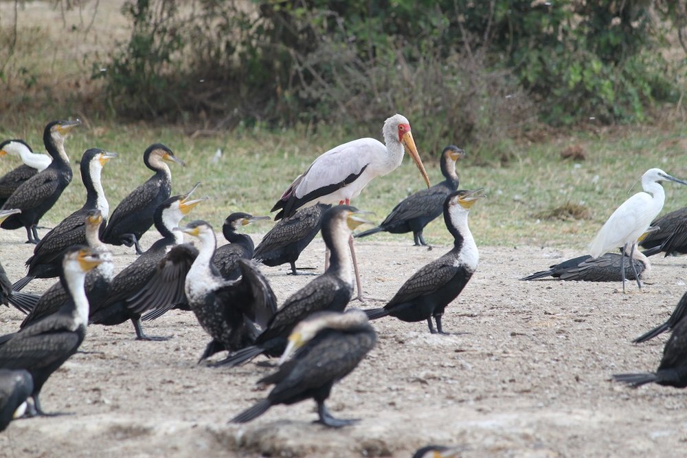 IMG_7023.jpg