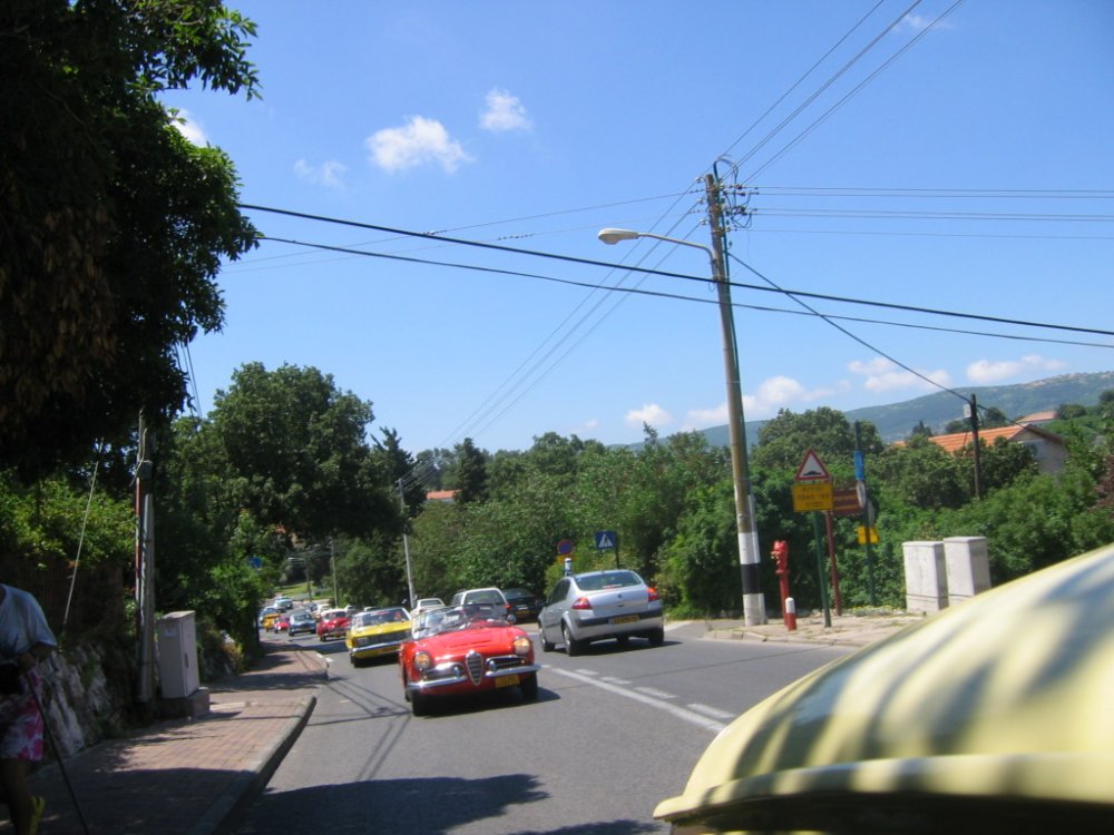 IMG_7302.jpg