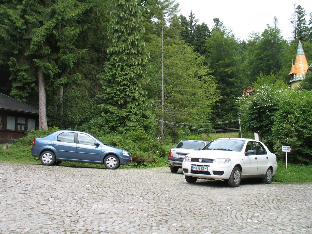 IMG_8712.JPG