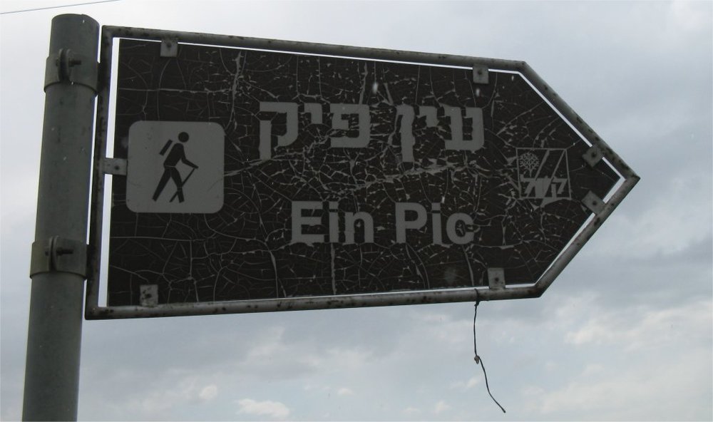 Image1.jpg