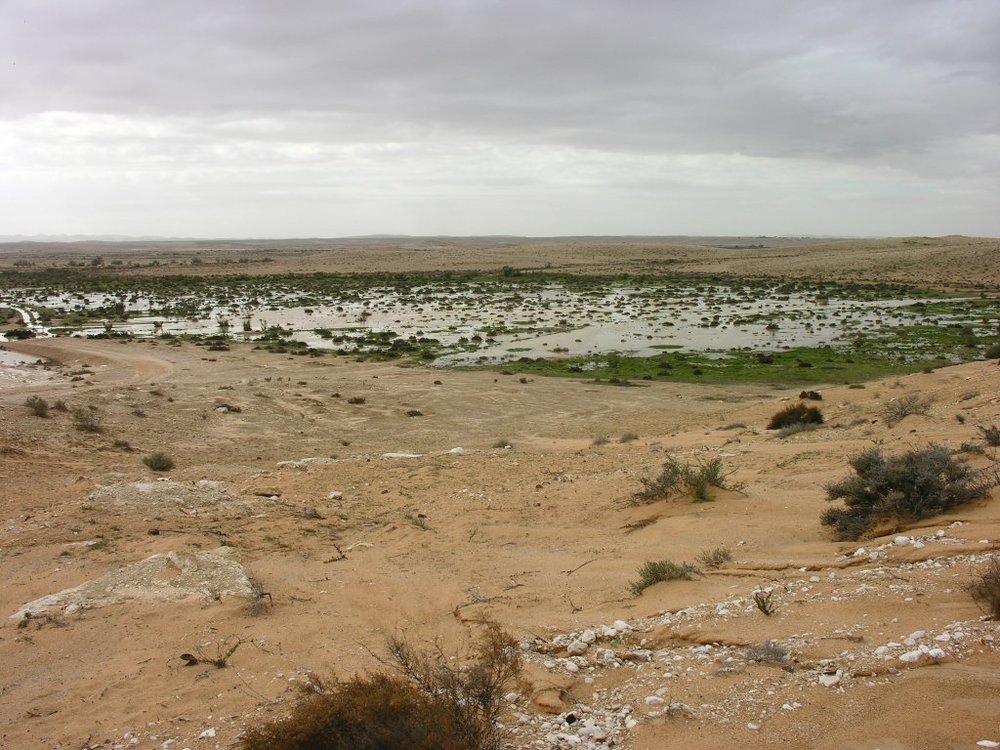Image2.jpg