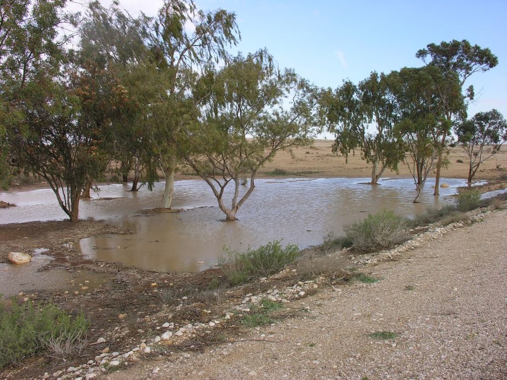 Image3.jpg