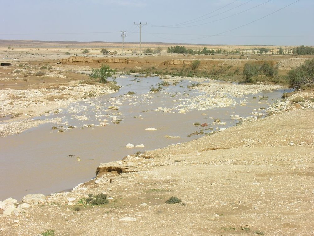 Image4.jpg