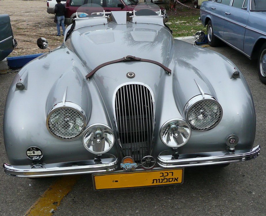 Jag-1.jpg