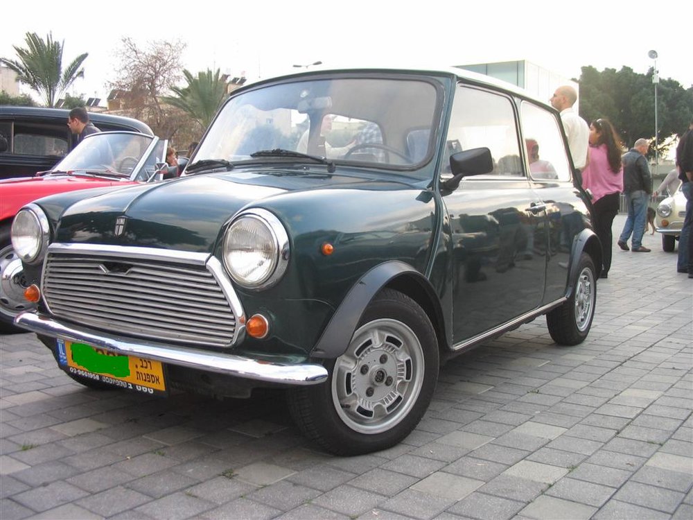 Mini-1.JPG