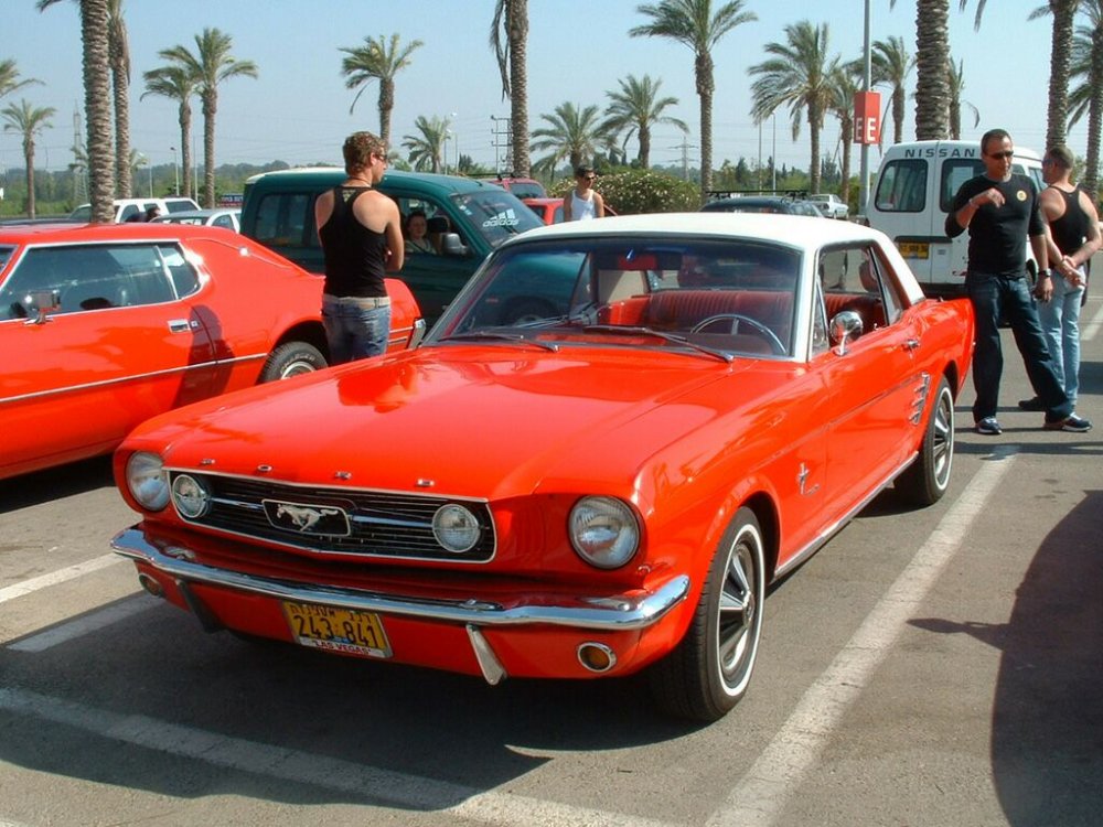 Mustang_f.jpg