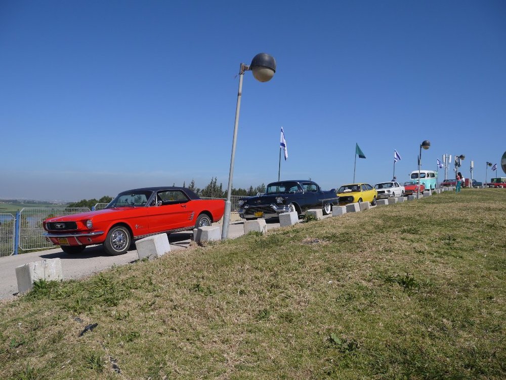 P1000101.JPG