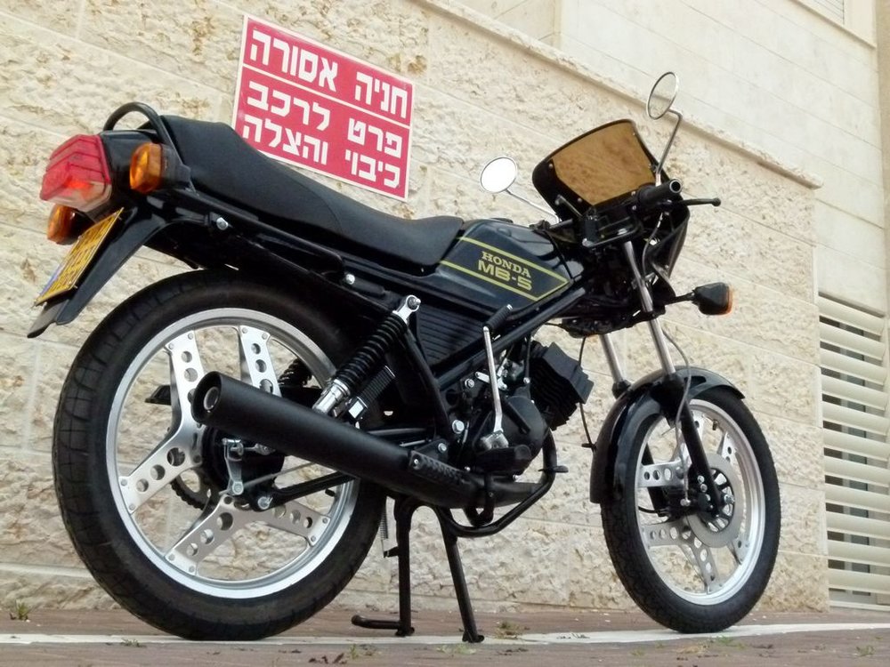 P1000105.jpg