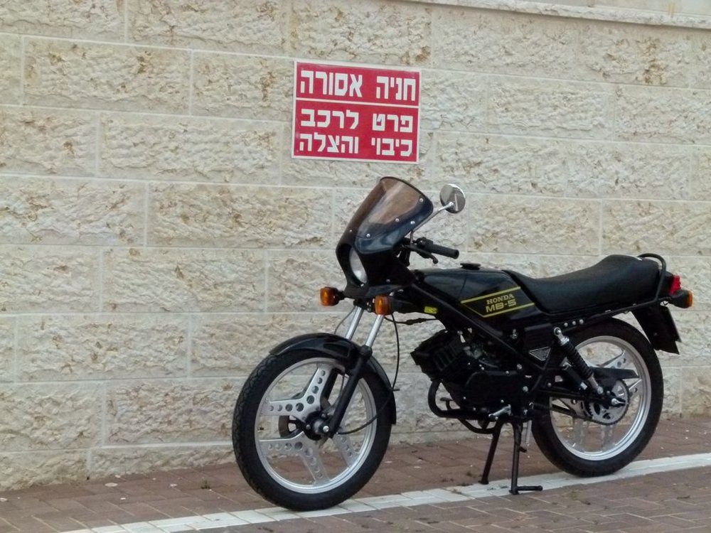 P1000109.jpg