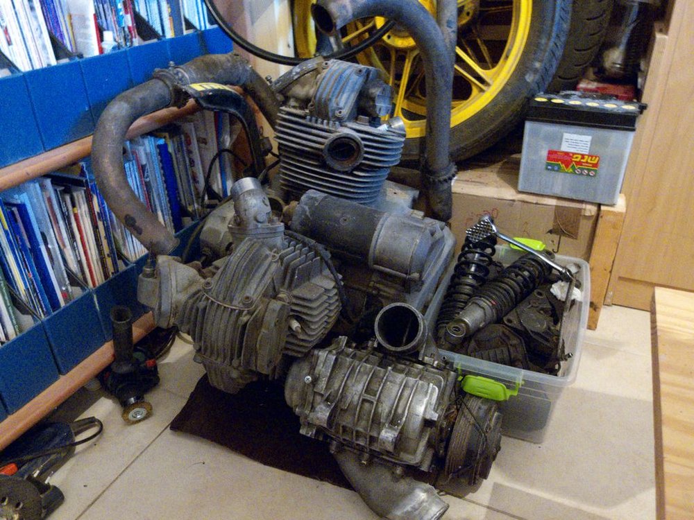 P1000166.jpg