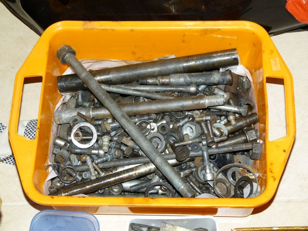 P1000200.JPG