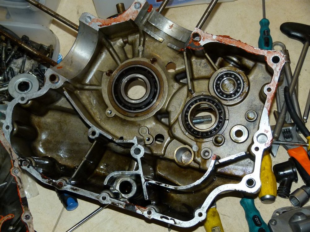 P1000216.JPG