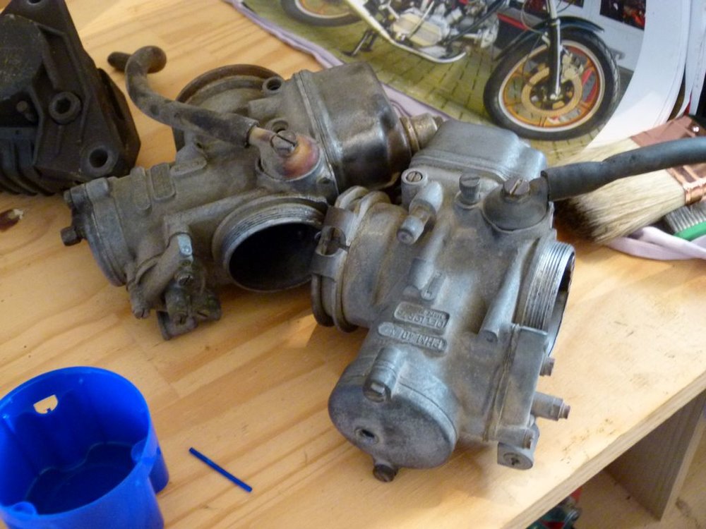 P1000229.JPG