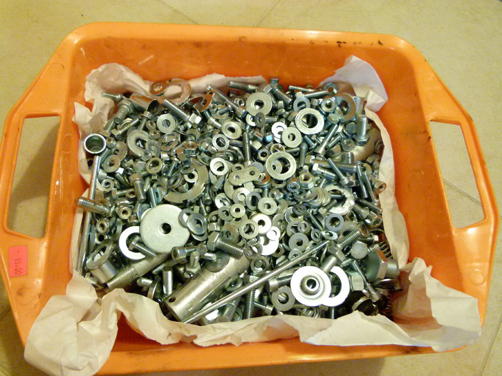 P1000262.jpg