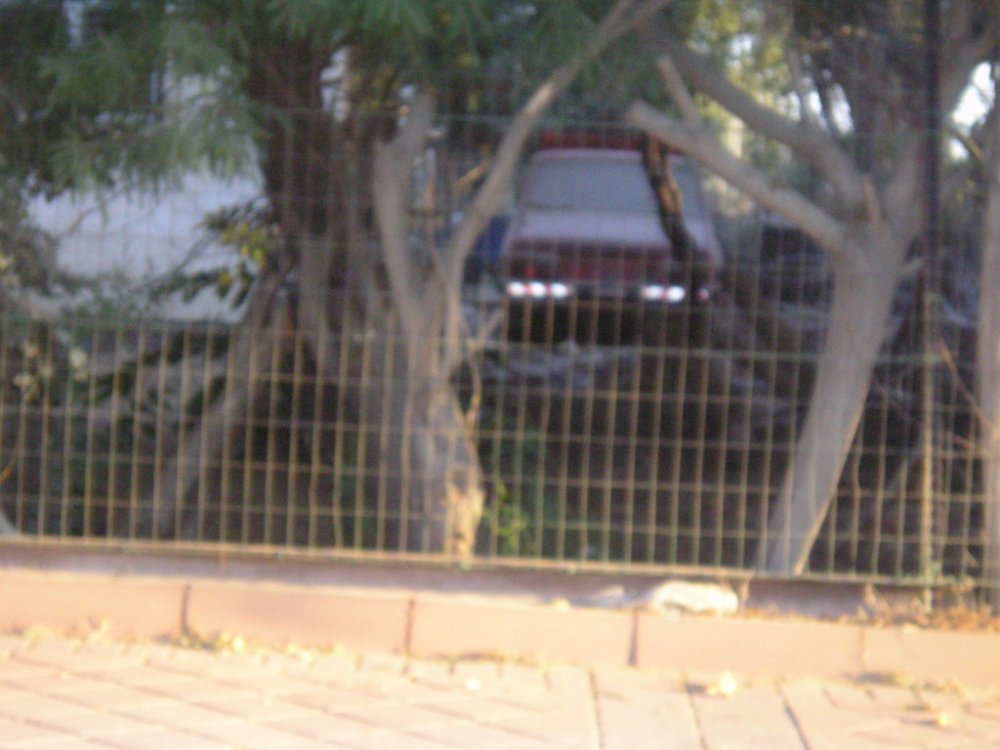 P1010001.JPG