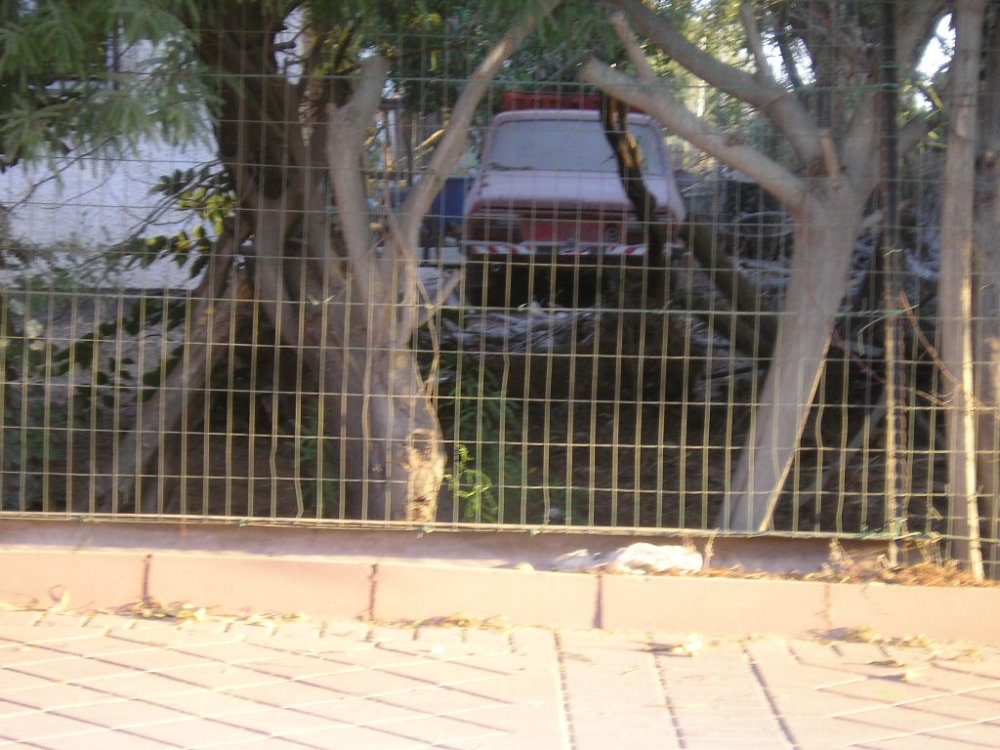 P1010002.JPG