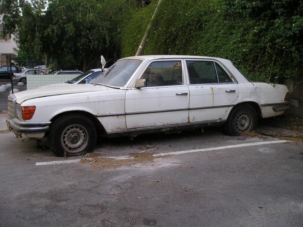 P1010002.JPG