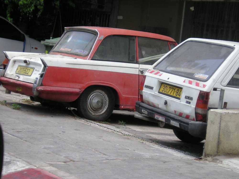 P1010003.JPG
