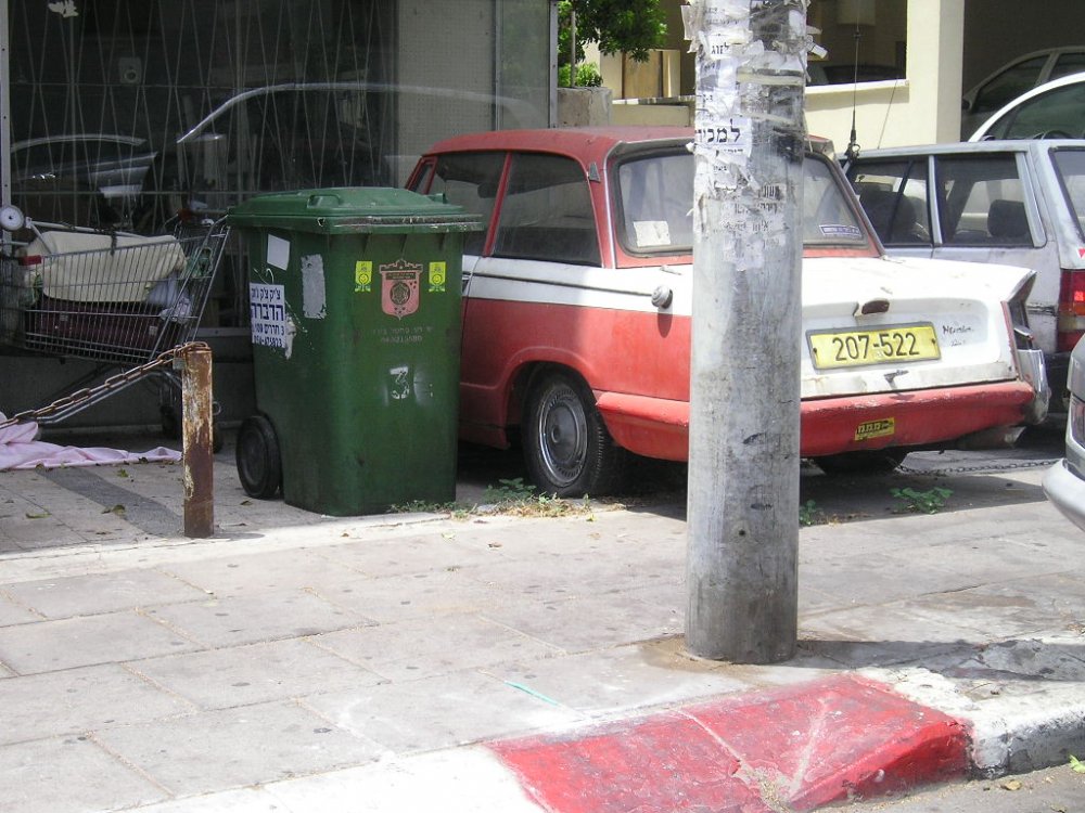 P1010004.JPG