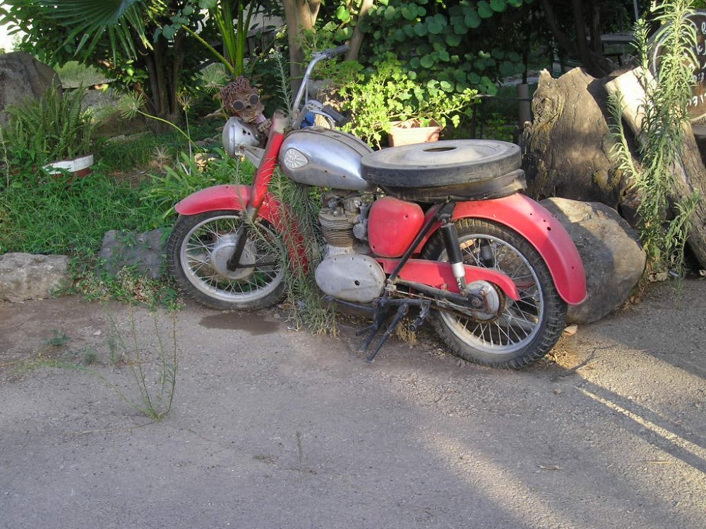 P1010005.JPG