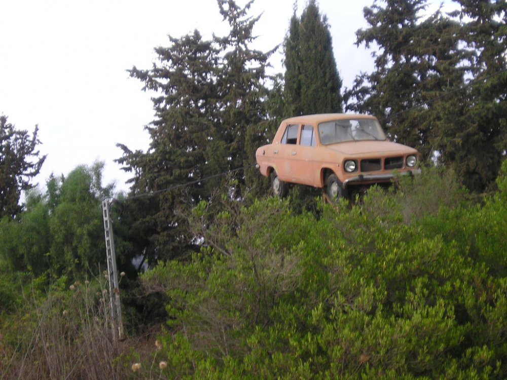P1010007.JPG