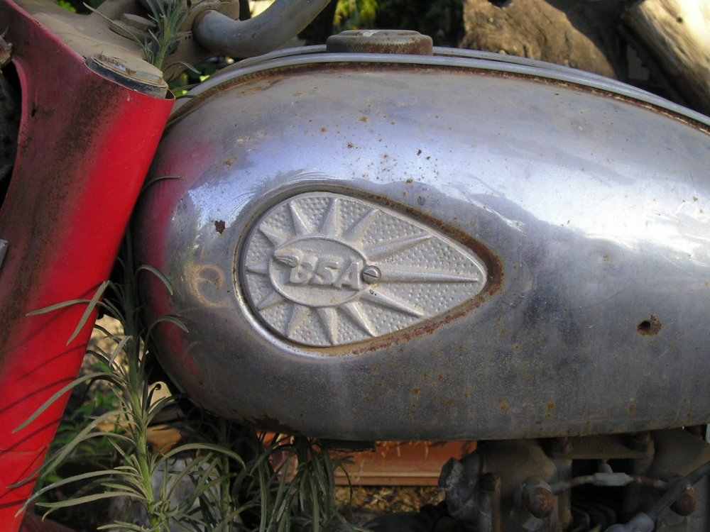 P1010007.JPG