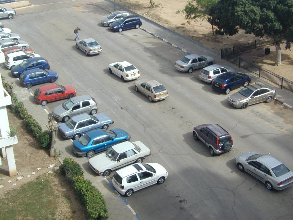 P1010009.JPG