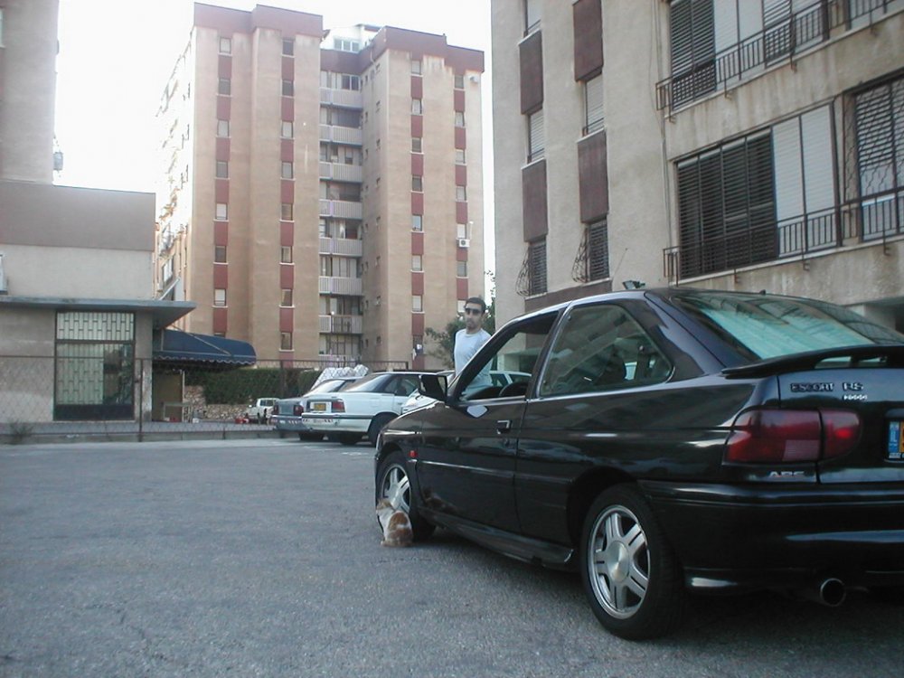 P1010015.jpg