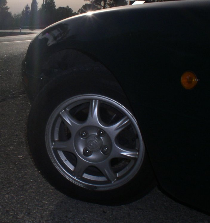 P1010027.JPG