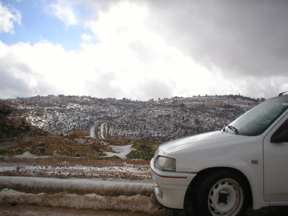 P1010038.JPG
