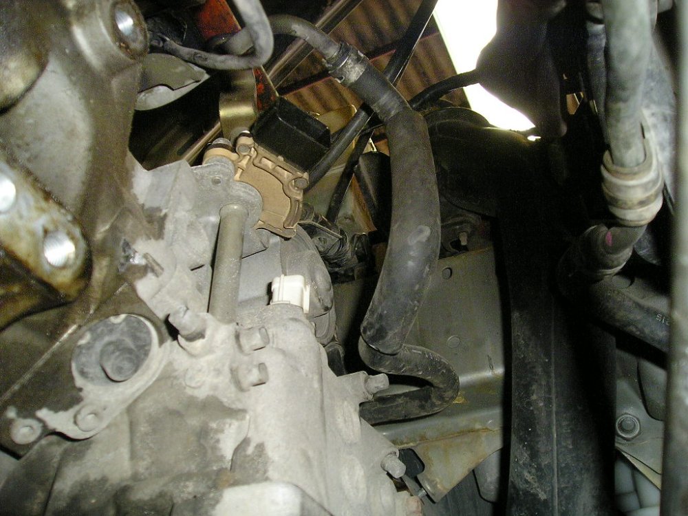 P1010038.JPG