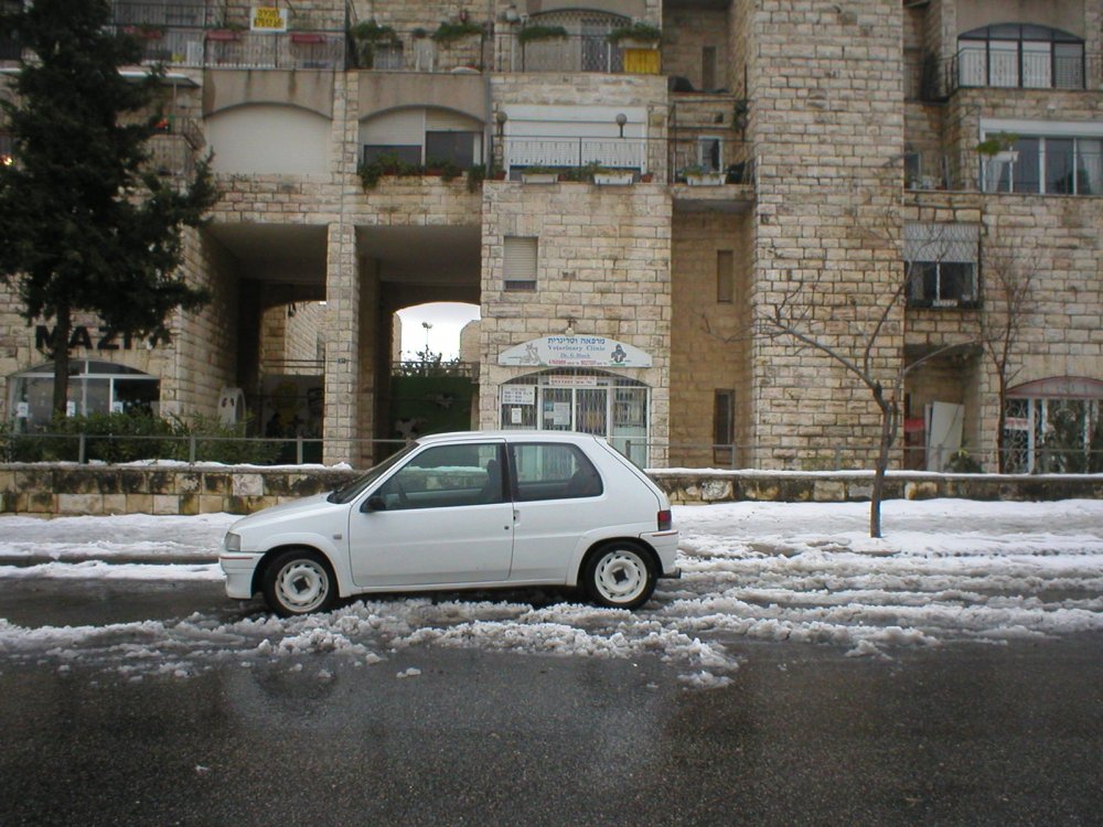 P1010042.JPG