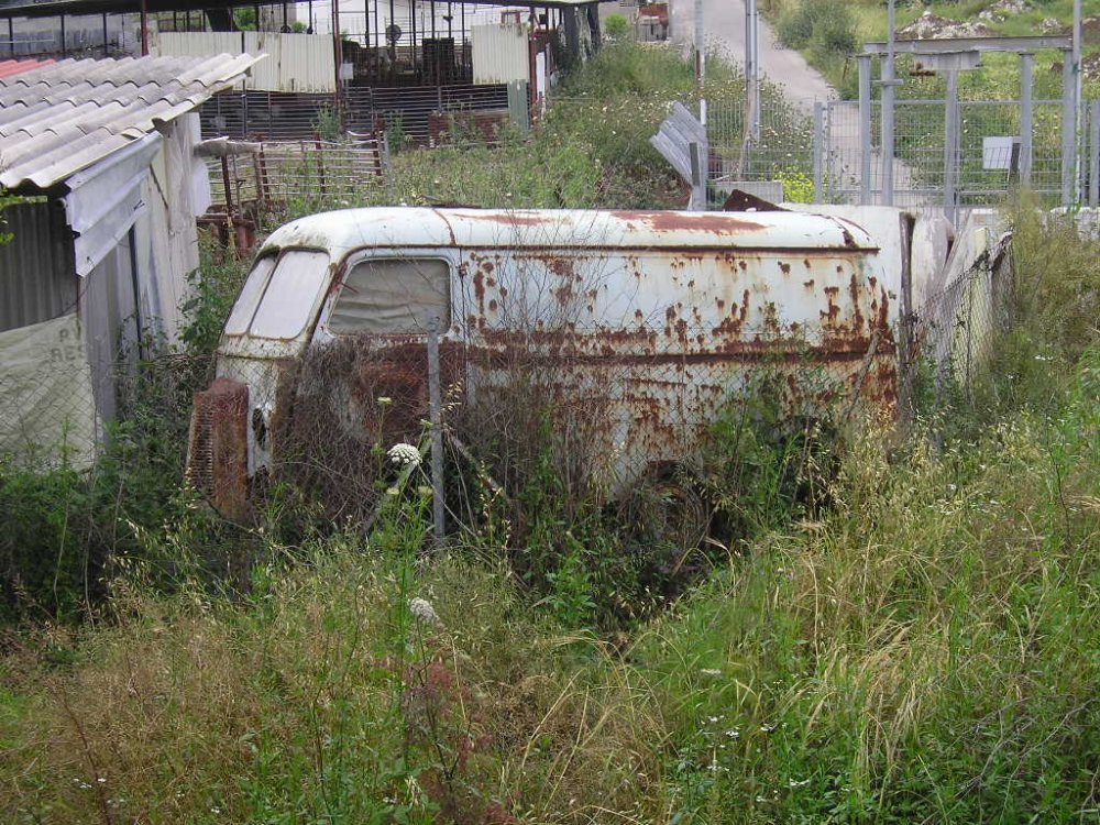 P1010044.JPG