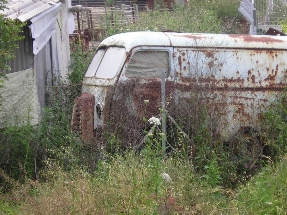 P1010045.JPG