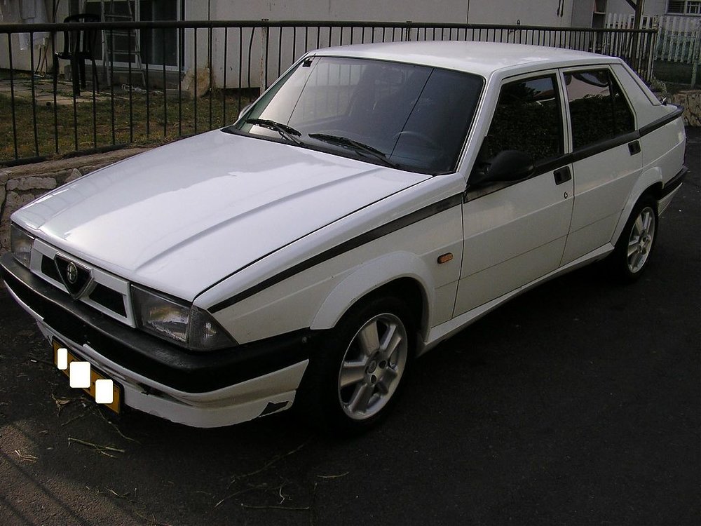 P1010061.jpg