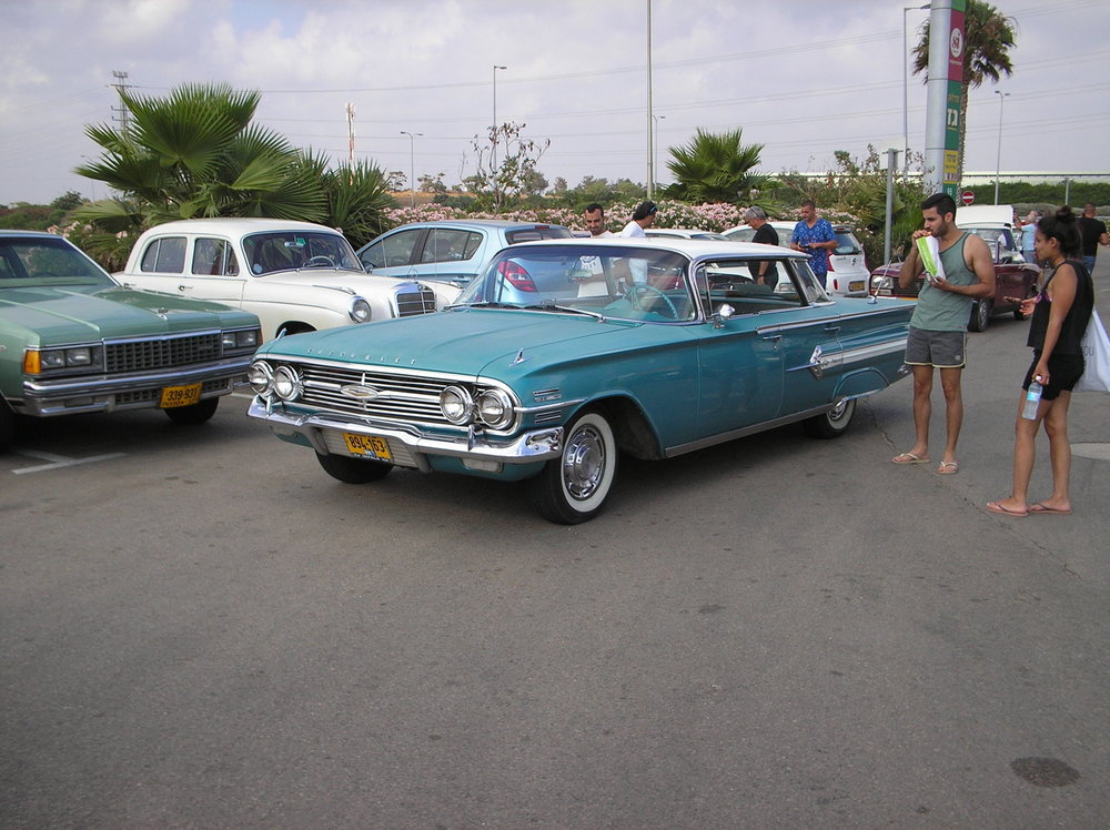 P1010062.jpg