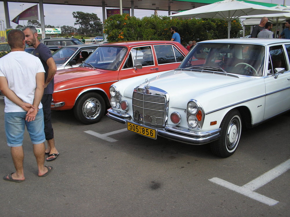 P1010064.jpg