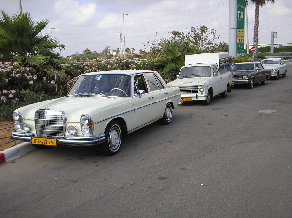 P1010067.jpg