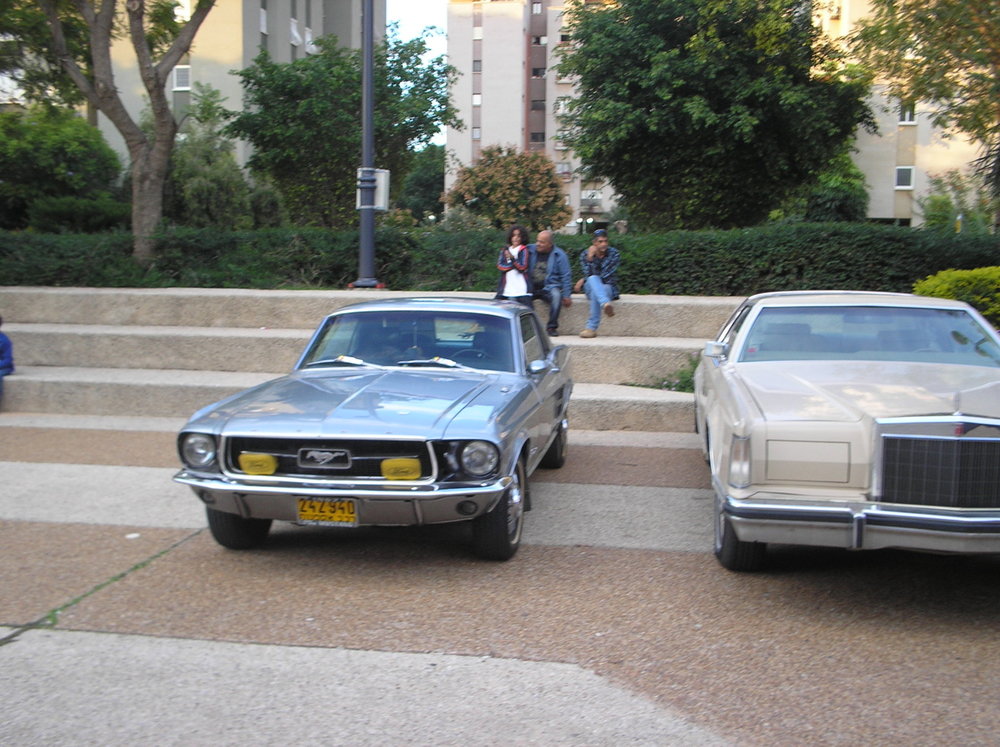 P1010068.jpg