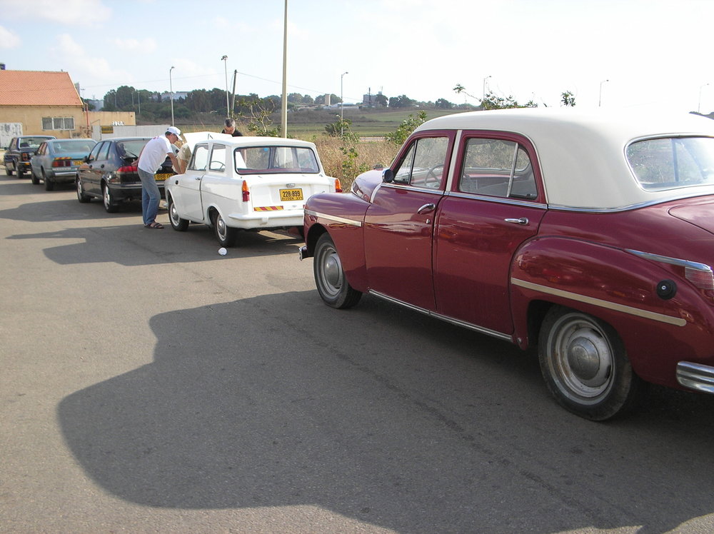 P1010071.jpg