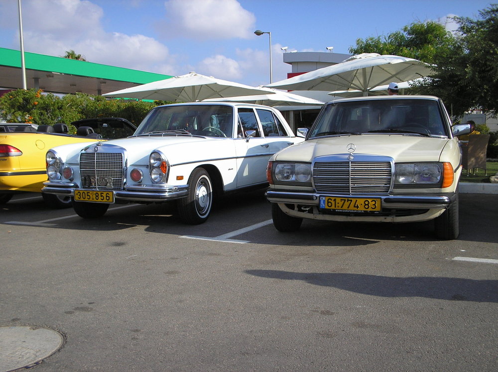 P1010075.jpg