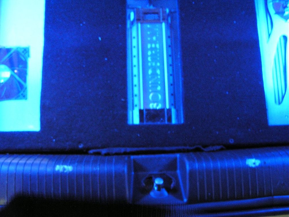 P1010075.jpg