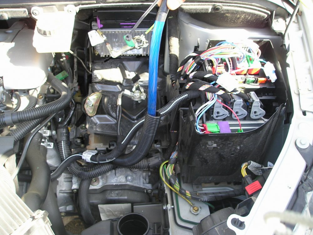 P1010079_resize.JPG