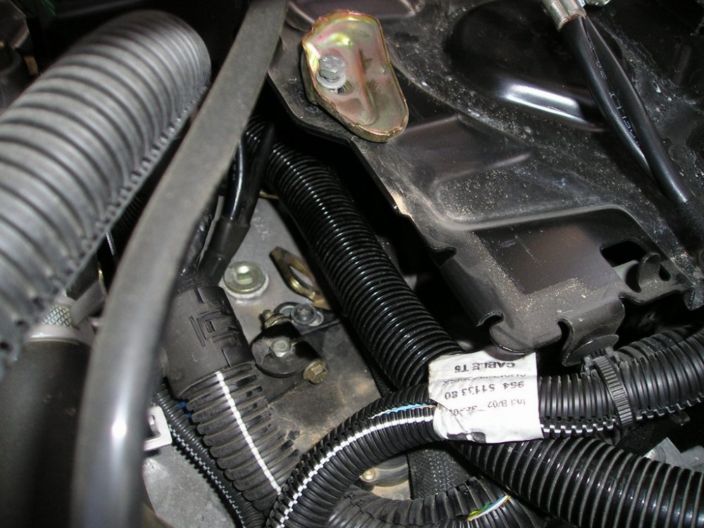 P1010080_resize.JPG