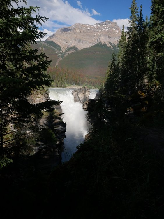 P1010180.jpg