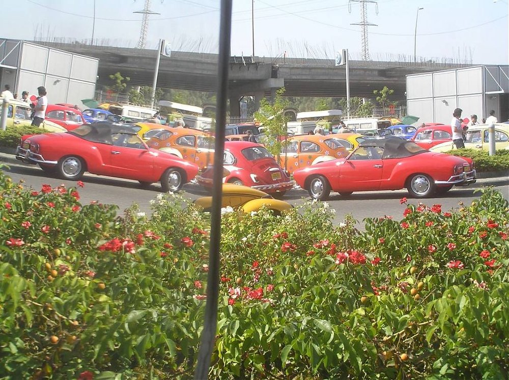 P1010199.jpg